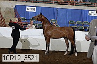 10r12_3521 proof