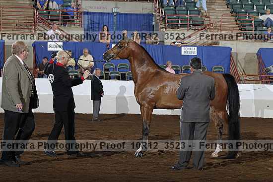Proof 10r12_3523