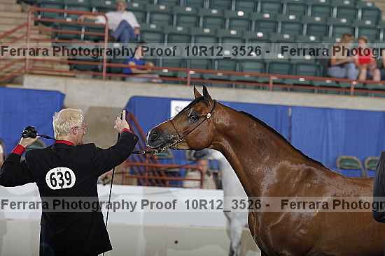 Proof 10r12_3526