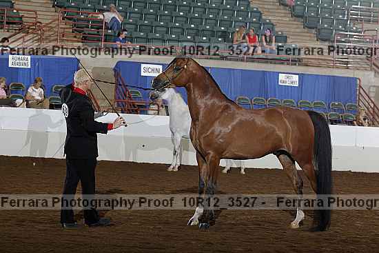 Proof 10r12_3527
