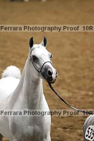 Proof 10r12_3529