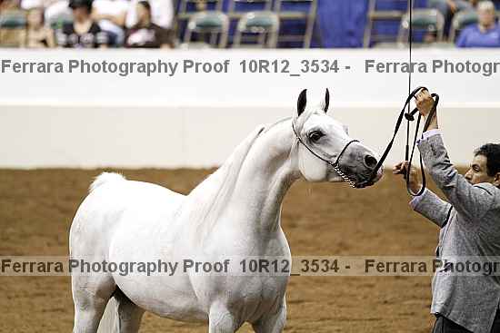 Proof 10r12_3534