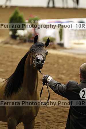 Proof 10r12_3536