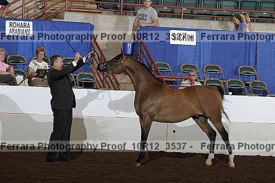 Proof 10r12_3537