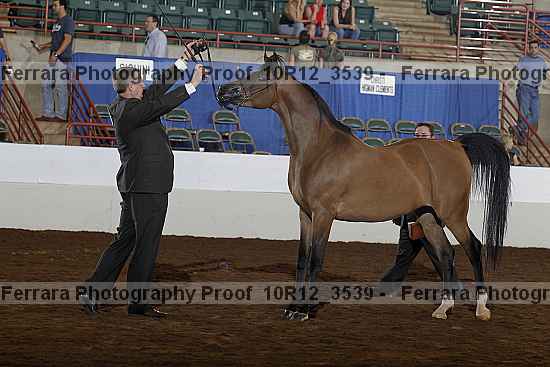 Proof 10r12_3539