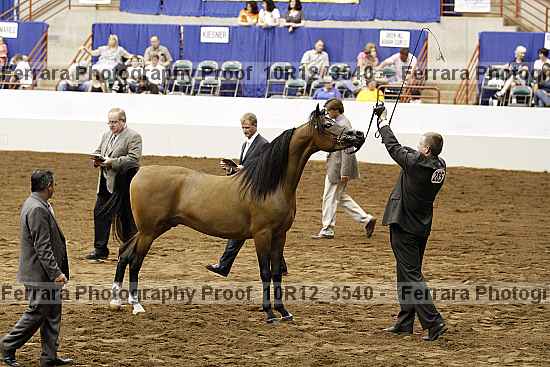 Proof 10r12_3540
