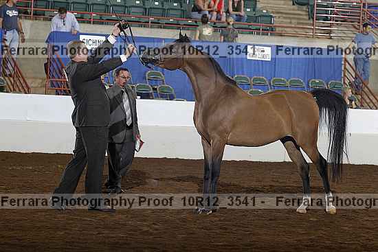 Proof 10r12_3541