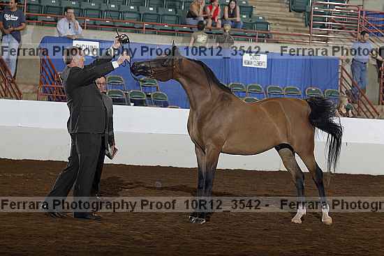 Proof 10r12_3542