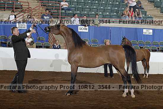 Proof 10r12_3544