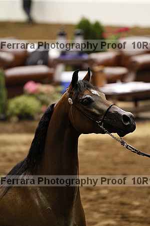 Proof 10r12_3546
