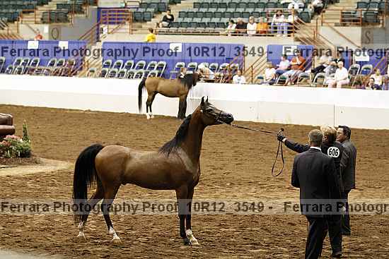 Proof 10r12_3549