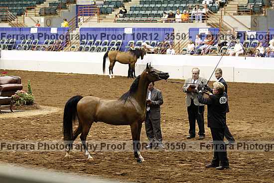 Proof 10r12_3550