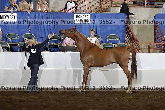 Proof 10r12_3552