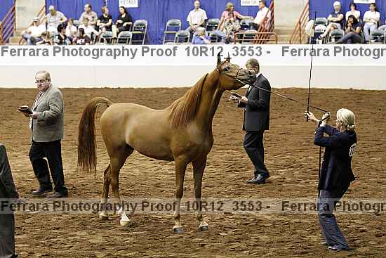 Proof 10r12_3553