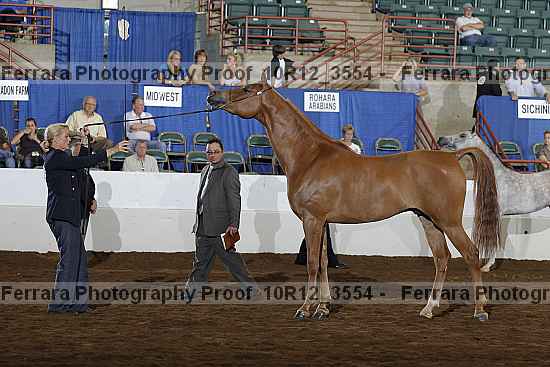 Proof 10r12_3554