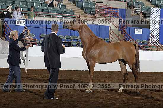 Proof 10r12_3555