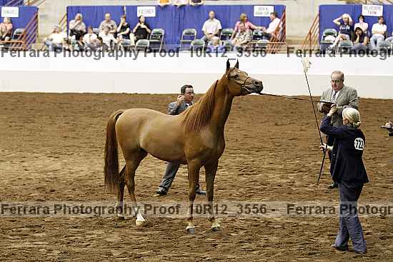 Proof 10r12_3556