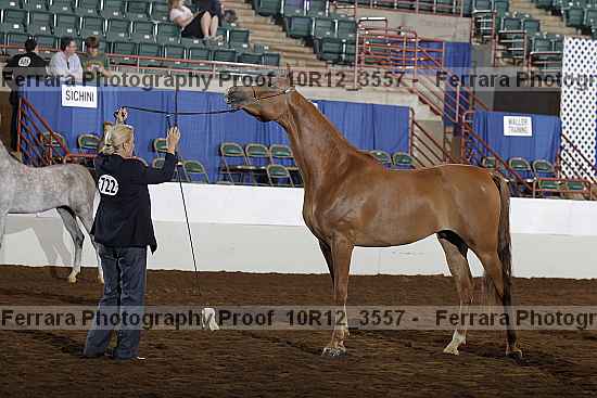Proof 10r12_3557