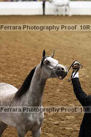 Proof 10r12_3558