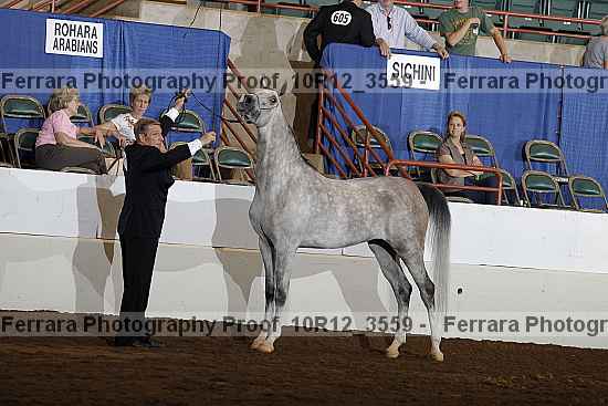 Proof 10r12_3559