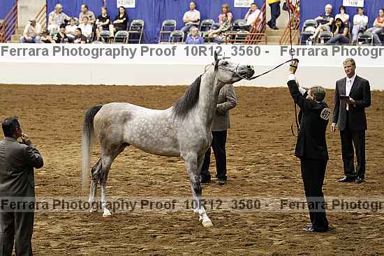 Proof 10r12_3560