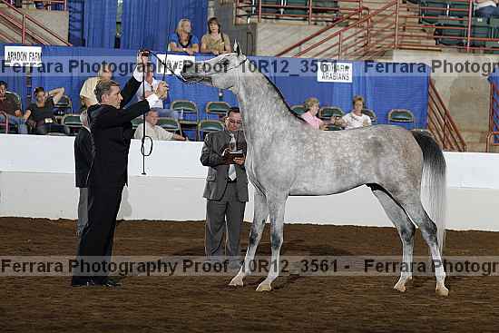 Proof 10r12_3561