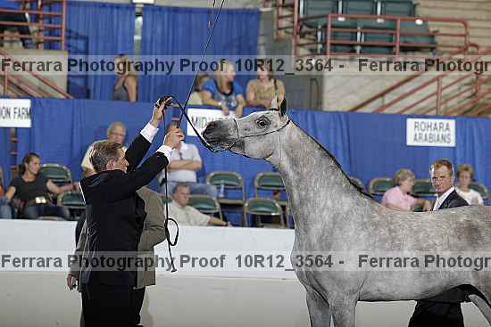 Proof 10r12_3564