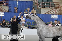 10r12_3564 proof