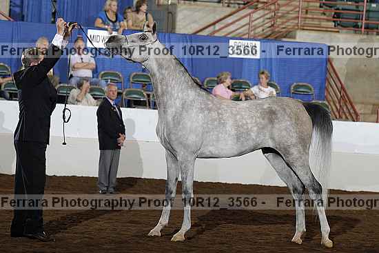 Proof 10r12_3566