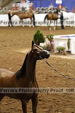 Proof 10r12_3567