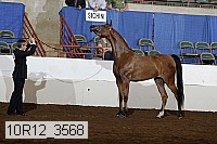 10r12_3568 proof