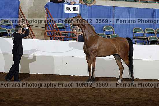 Proof 10r12_3569