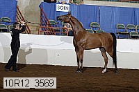 10r12_3569 proof