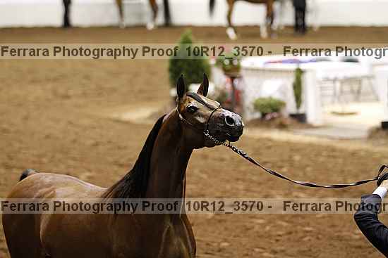 Proof 10r12_3570