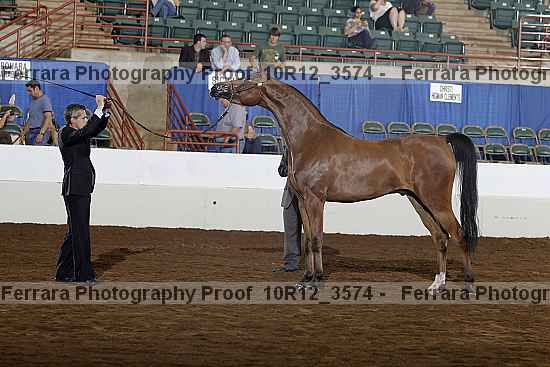 Proof 10r12_3574