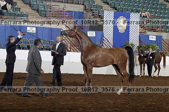 Proof 10r12_3576