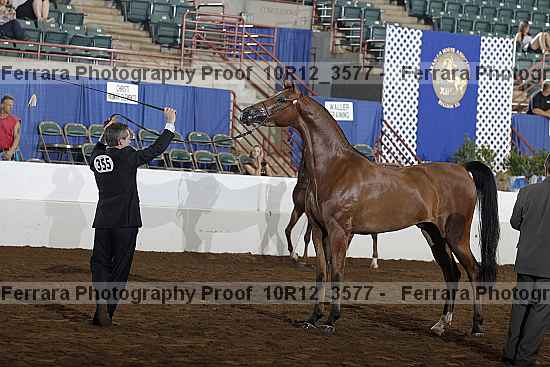 Proof 10r12_3577