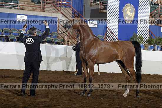 Proof 10r12_3578