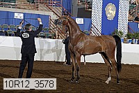 10r12_3578 proof