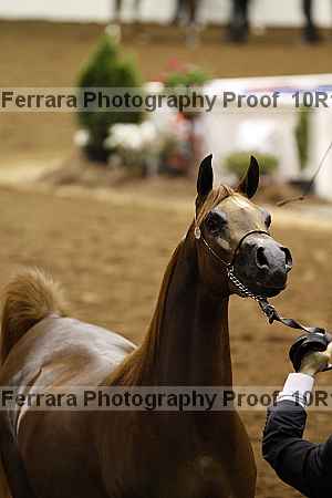 Proof 10r12_3581