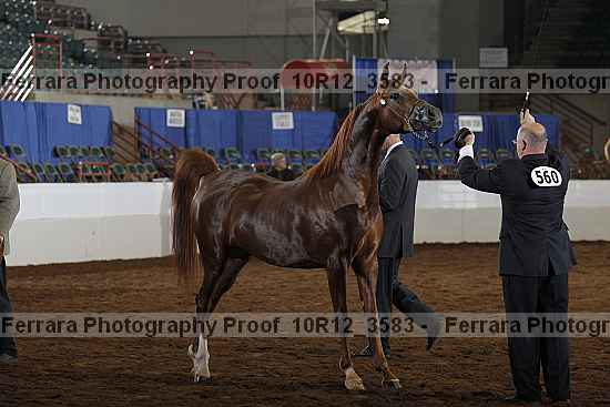 Proof 10r12_3583