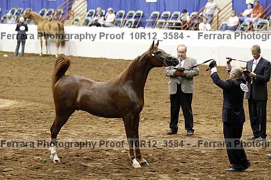 Proof 10r12_3584