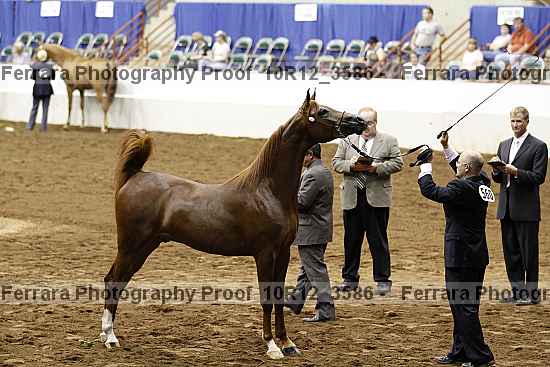 Proof 10r12_3586