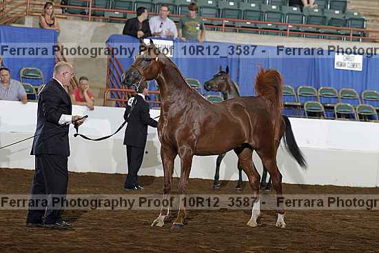 Proof 10r12_3587