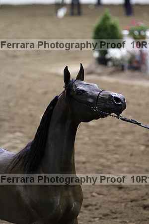 Proof 10r12_3589