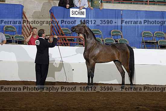 Proof 10r12_3590
