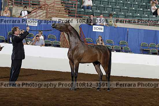 Proof 10r12_3591