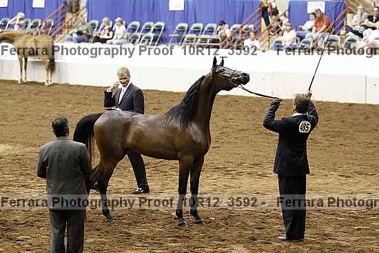 Proof 10r12_3592