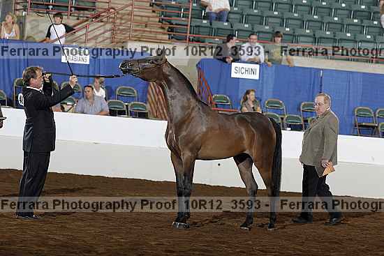 Proof 10r12_3593