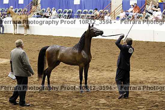 Proof 10r12_3594
